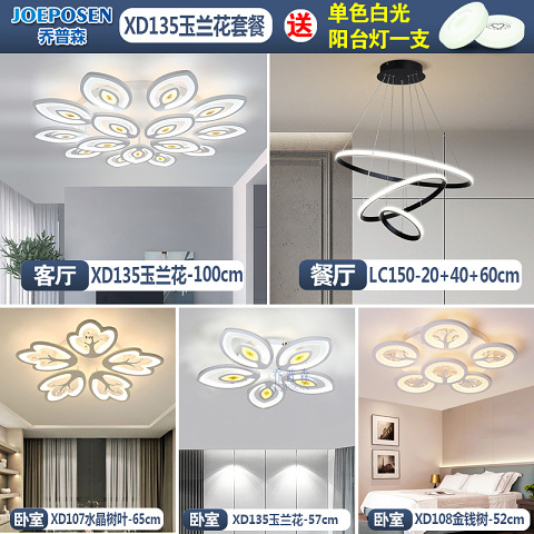  铁艺 亚克力 客厅 现代简约 灯具套餐 XD135玉兰花套餐
