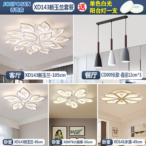  铁艺 亚克力 客厅 现代简约 灯具套餐 XD143新玉兰套餐