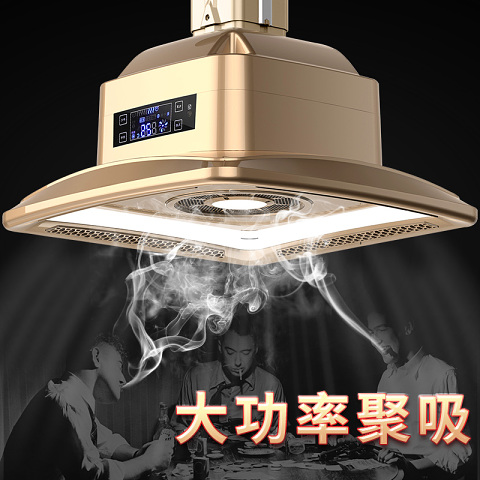  麻将房 空气净化灯 现代吊灯 PY-071Z