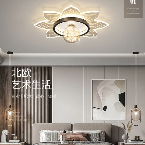 灯具 铁艺 亚克力 餐厅 吸顶灯 北欧吸顶灯 T1018-42H